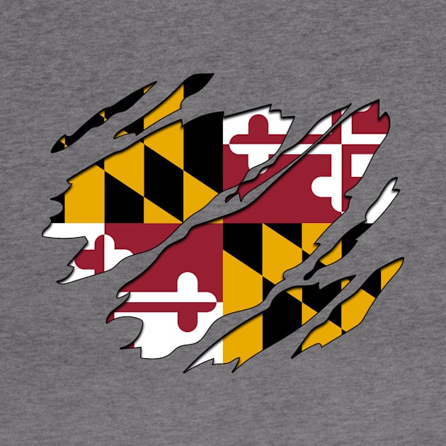 Tear Away Maryland Flag by InspiredQuotes